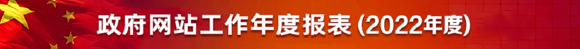 政府网站工作年度报表（2022年）