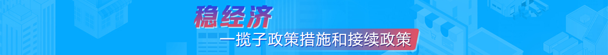 稳经济 一揽子政策措施和接续政策