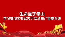 生命重于泰山