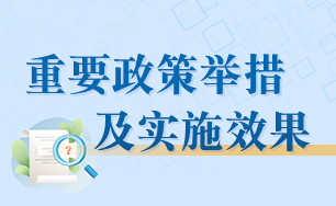 重要政策措施及实施效果