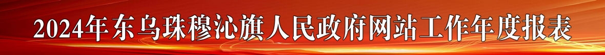 政府网站工作年度报表（2024年）